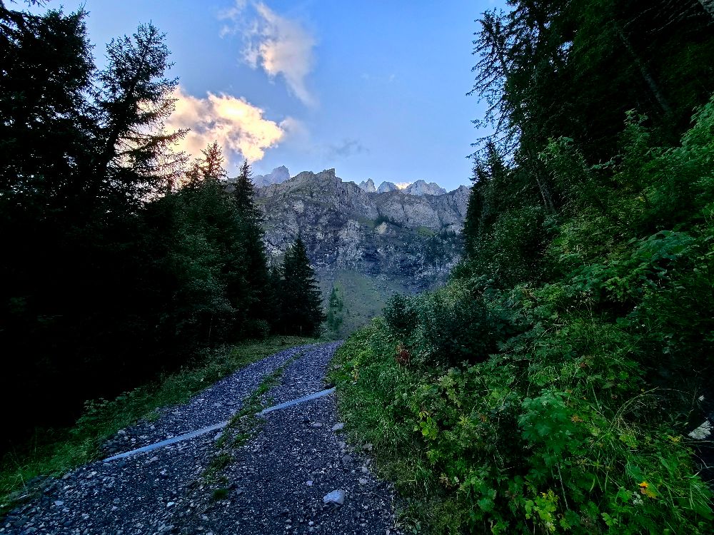 Bild%202 Bild%202